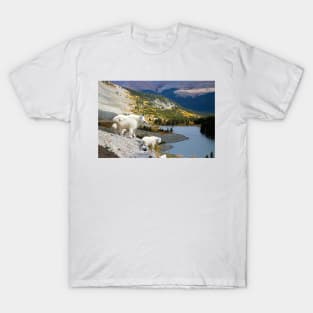 Just Enjoing the View T-Shirt